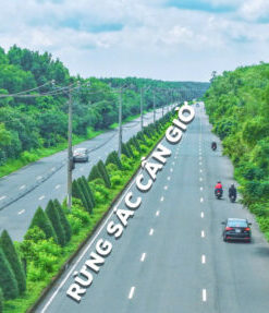 Giá chuyển nhượng biệt thự song lập Vinhomes Cần Giờ - Ảnh 5